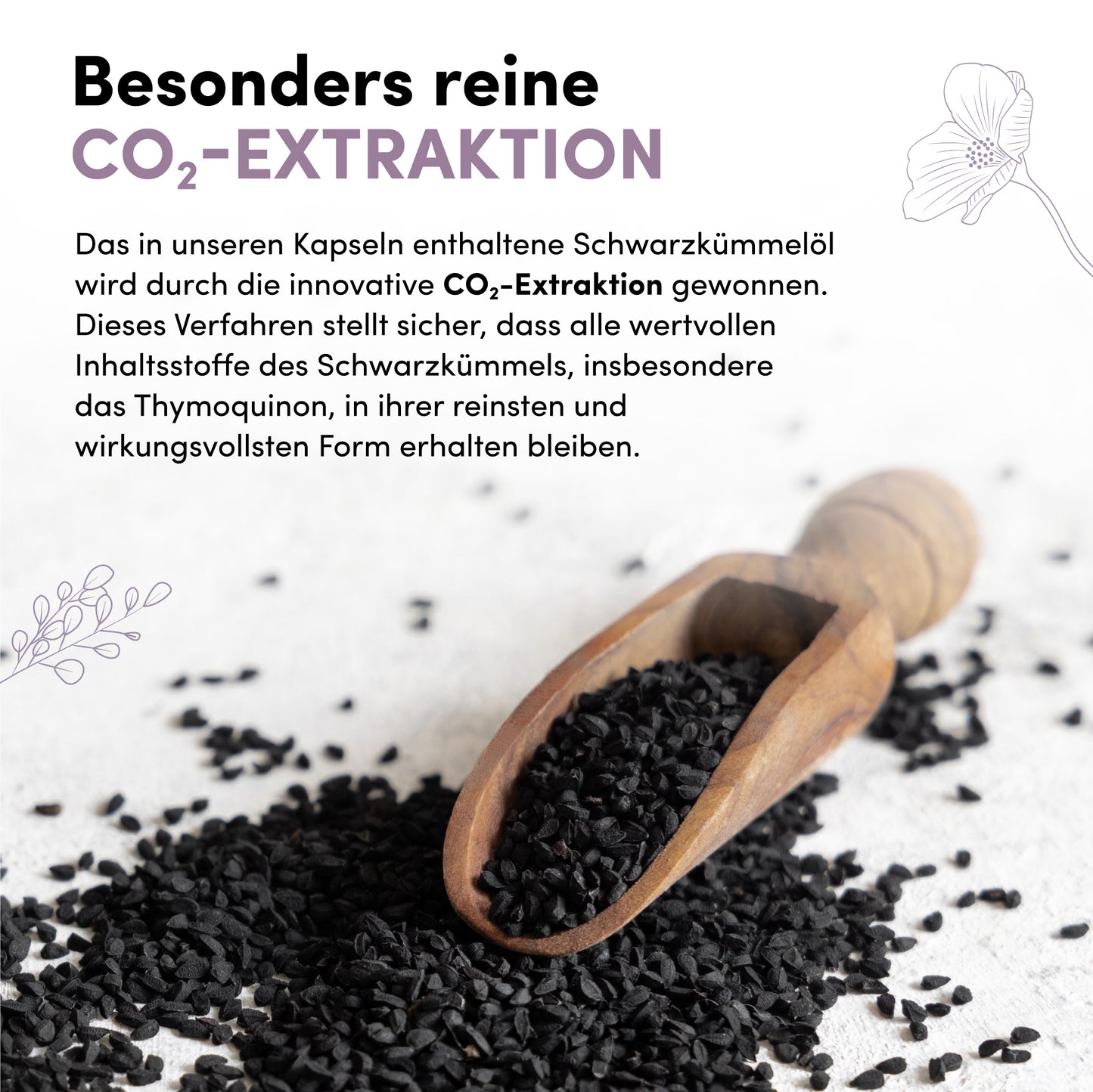 Zwarte komijnolie Softgelcapsules