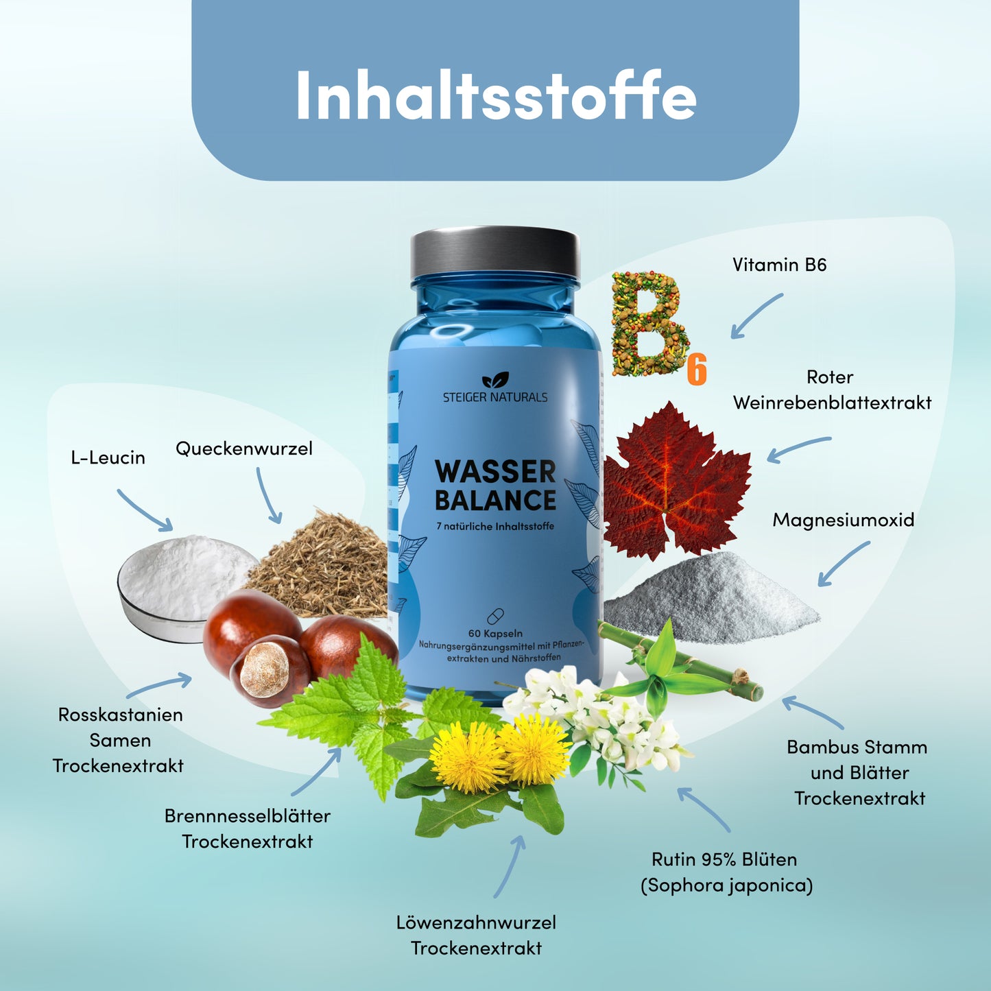 Wasser Balance - complexe de drainage naturel