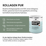 Kollagenpulver Bioaktive Kollagenpeptide